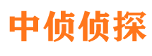 浪卡子市侦探调查公司